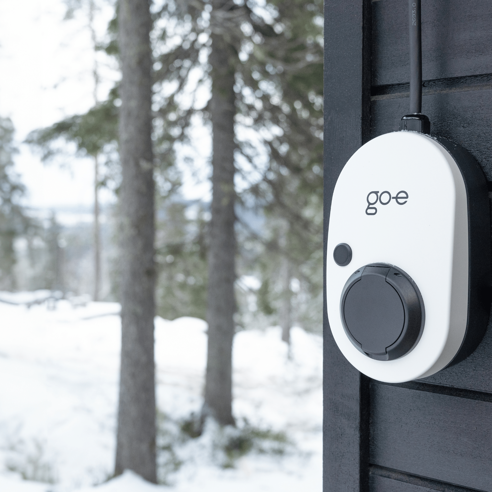 Go - e Gemini Flex - eviQ